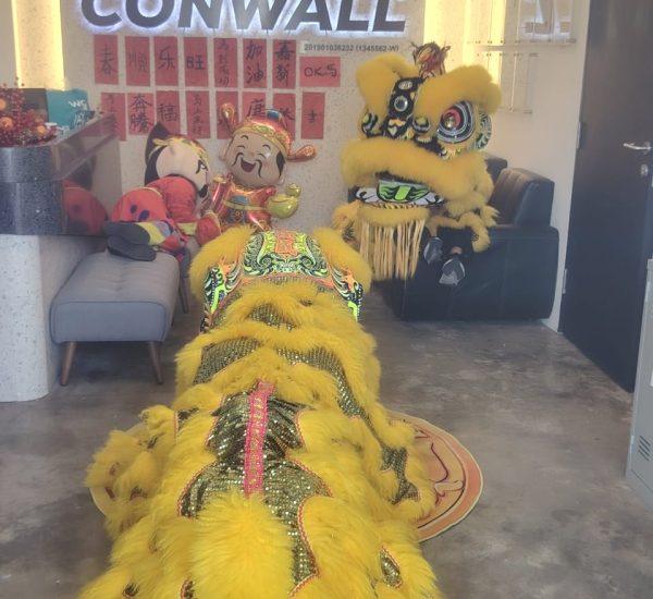 celebrating CNY 2026