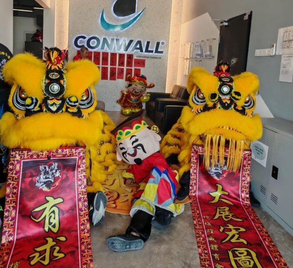 celebrating CNY 2026